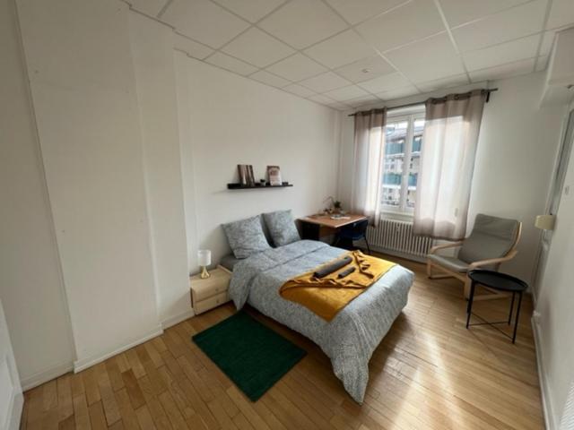 Chambres Privees -Private Room- Dans Un Spacieux Appartement - 100M2 Centre Proche Gare Mulhouse Luaran gambar